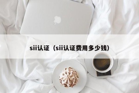 sii认证（sii认证费用多少钱）