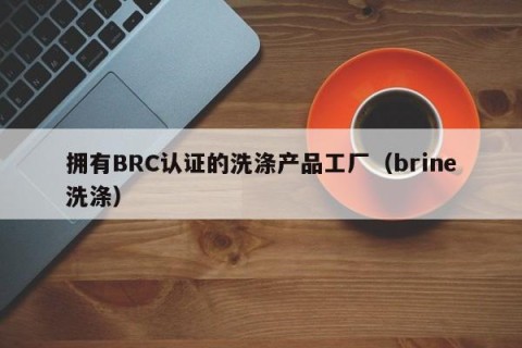 拥有BRC认证的洗涤产品工厂（brine洗涤）