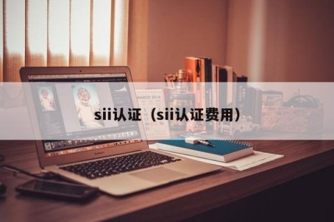 sii认证（sii认证费用）